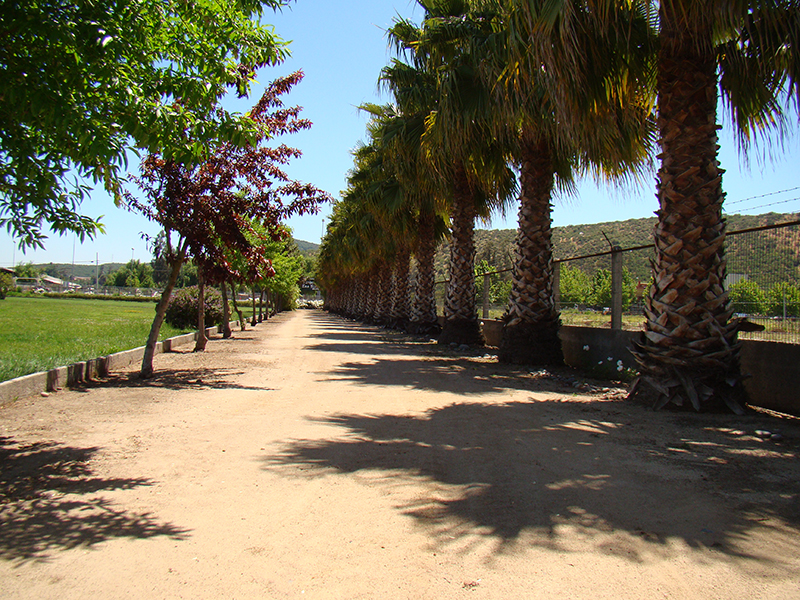 INMOBILIARIA PARQUE LAS FLORES S A MELIPILLA