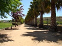 INMOBILIARIA PARQUE LAS FLORES S A MELIPILLA